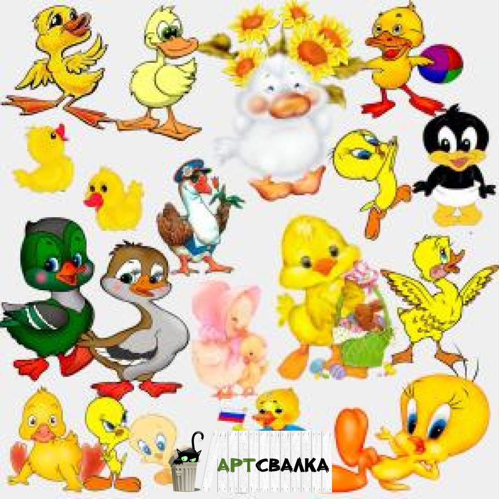 Утята на прозрачном фоне | Ducklings on a transparent background